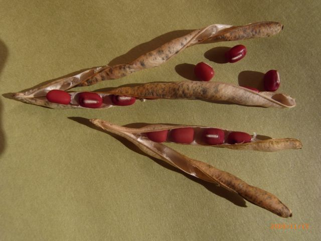 ��������@�ʐ^