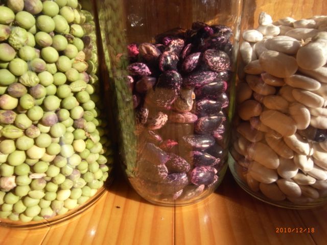 �Ԕ����@�ʐ^