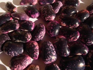 �ԓ�12/20�@�ʐ^