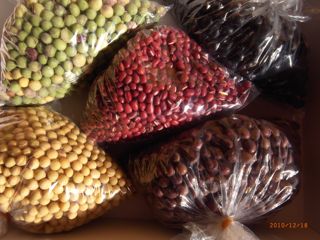 ���T�@�ʐ^