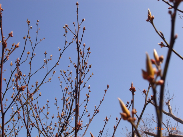 �����΂���3�@�ʐ^