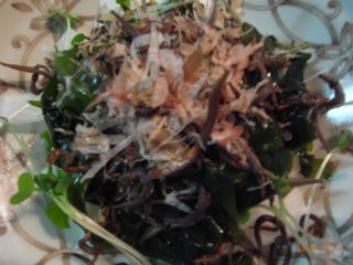 ��z�T���_�@�ʐ^