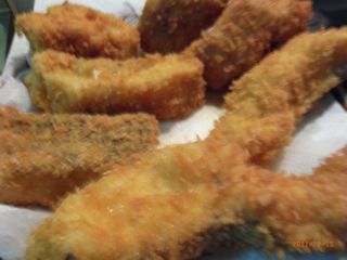 ����t���C�@�ʐ^