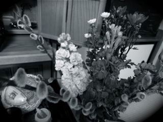 100�����@�ʐ^