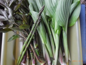 ���邢�A���ǁA�A�X�p���@�ʐ^