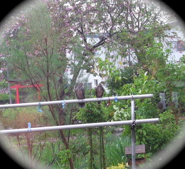 �G��L�W�o�g�@�ʐ^