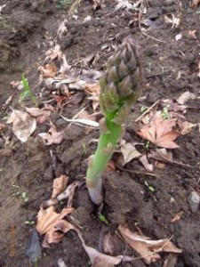 �����ς�@�ʐ^