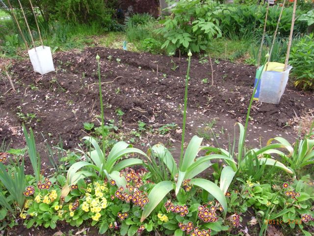 �܂߂ԂȔ��@�ʐ^