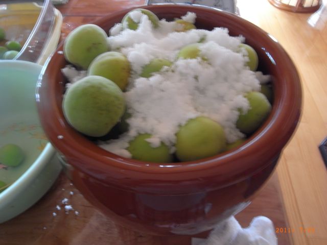 ���Ђ��@�ʐ^