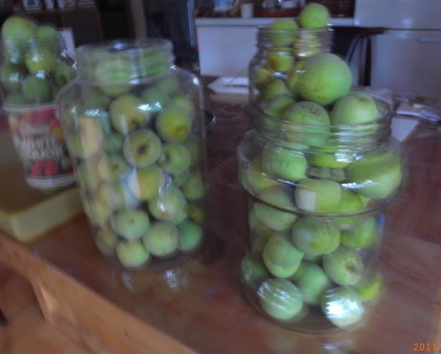 �~�W���[�X�p�@�ʐ^