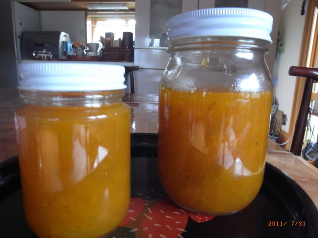 �~�W�����@�ʐ^