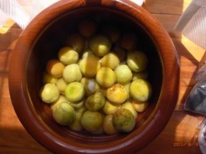 ���Ђ�4���ځ@�ʐ^