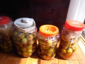 �~�W���[�X4���ځ@�ʐ^