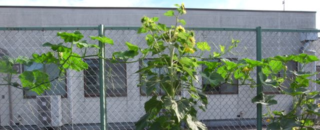 �ނ���Ł@�ʐ^