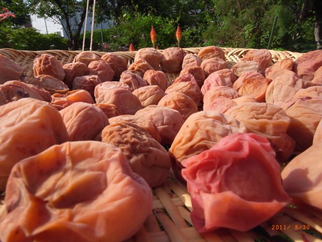 �O���ځ@�ʐ^