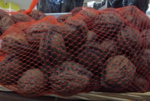 ����݁@�ʐ^