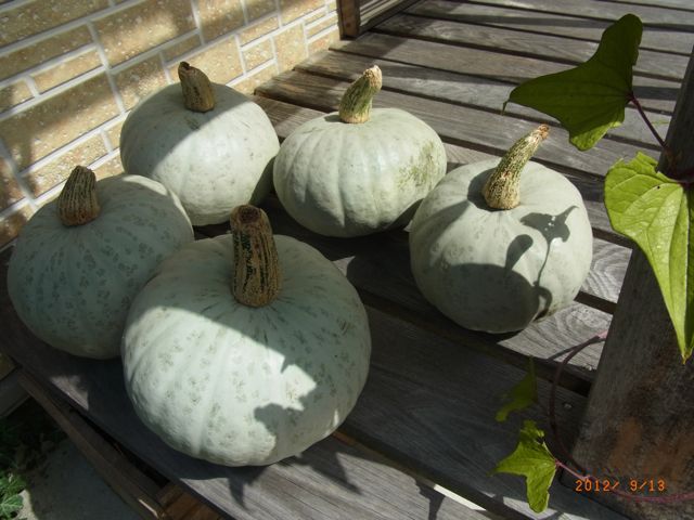 ���ڂ���@�ʐ^