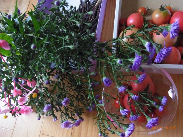 �g�}�g�Ƌe�̉ԁ@�ʐ^