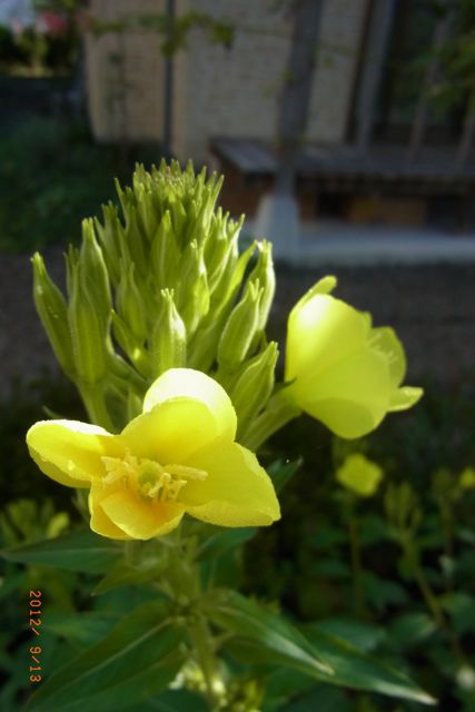 �������@�ʐ^