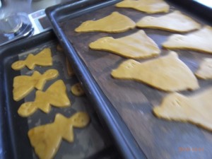 �N�b�L�[�@�ʐ^