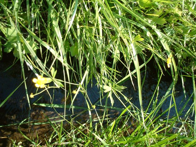 �����@�ʐ^