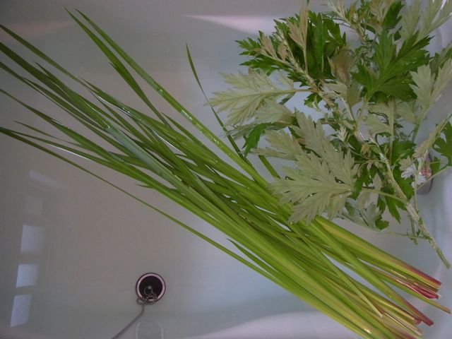 ���傤�ԓ��@�ʐ^